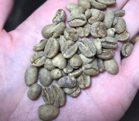 「古いオーガニック・デカフェ」