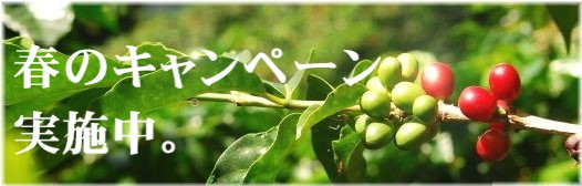 ポイント2倍プレゼントキャンペーン実施中!